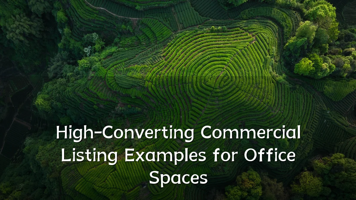 High-Converting Commercial Listing Examples for Office Spaces