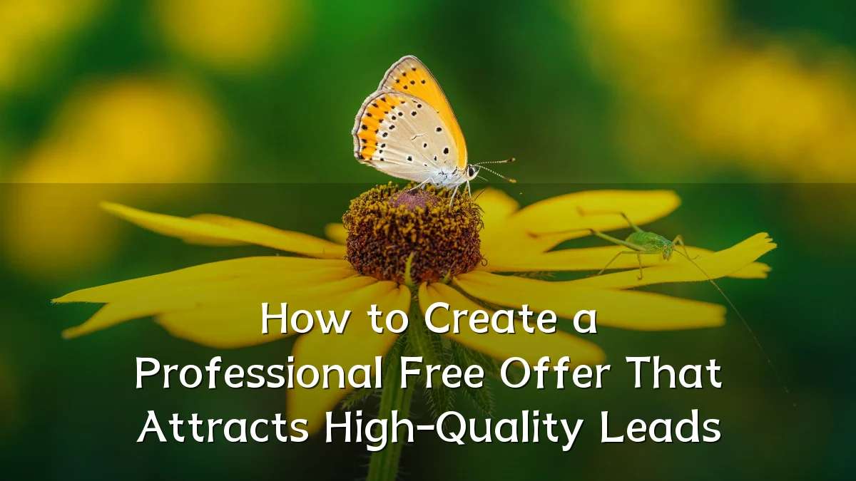 How to Create a Professional Free Offer That Attracts High-Quality Leads