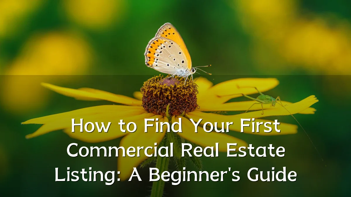 How to Find Your First Commercial Real Estate Listing: A Beginner's Guide