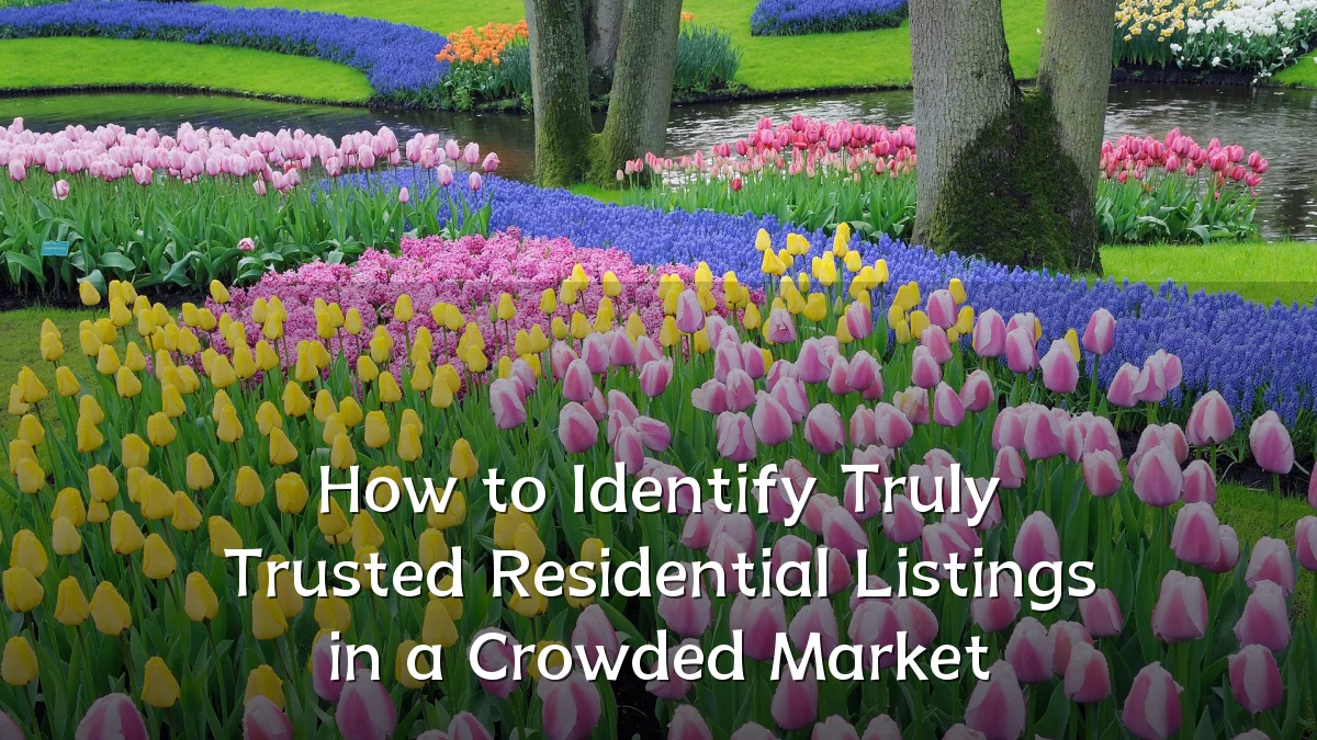 How to Identify Truly Trusted Residential Listings in a Crowded Market