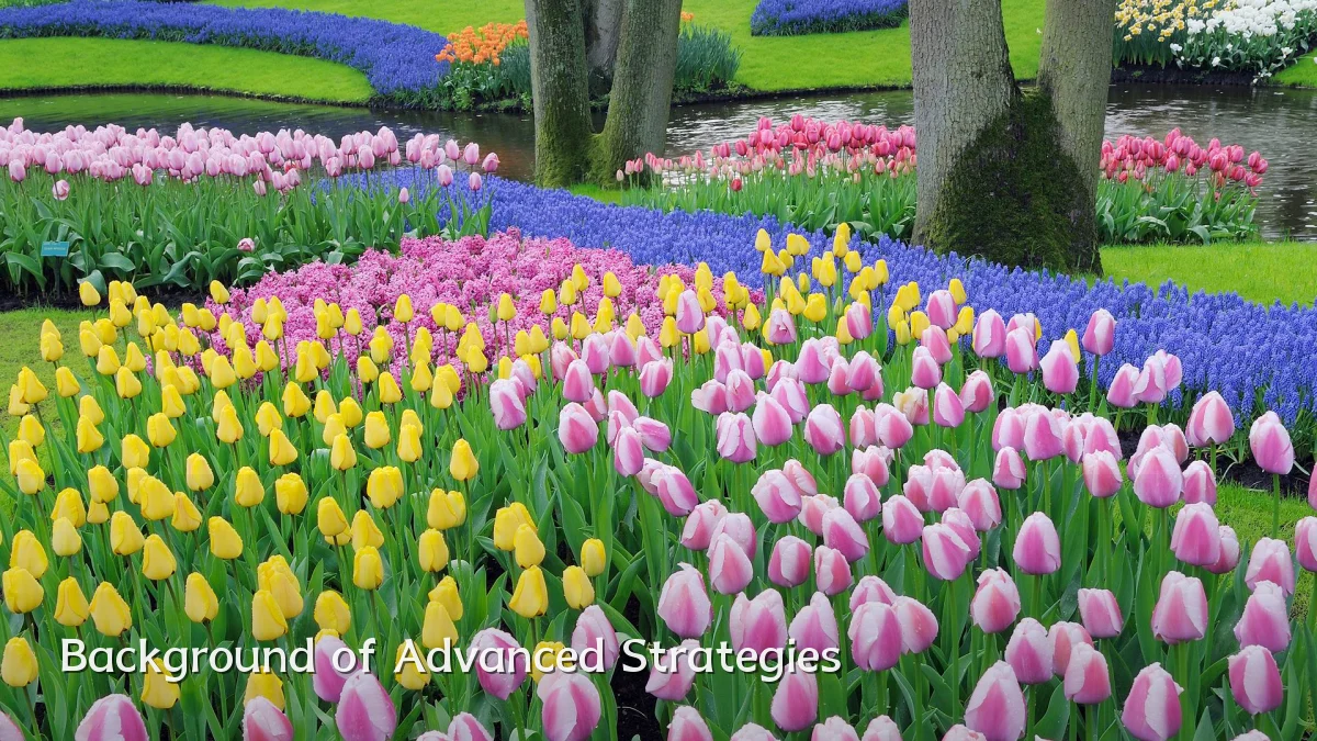 Background of Advanced Strategies