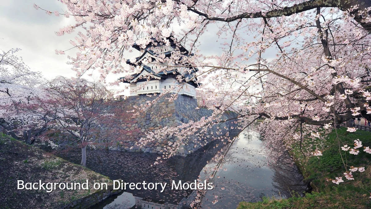Background on Directory Models