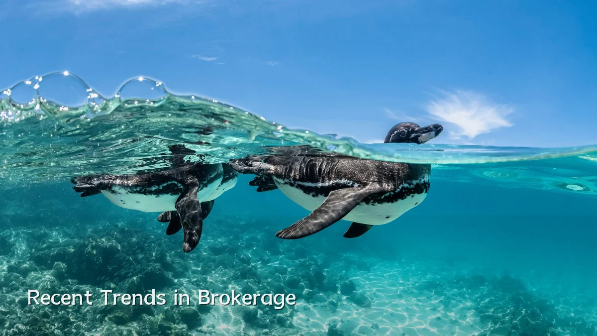 Recent Trends in Brokerage