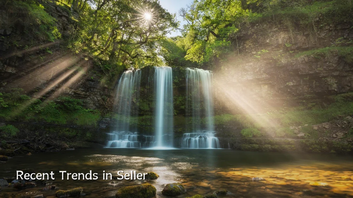 Recent Trends in Seller