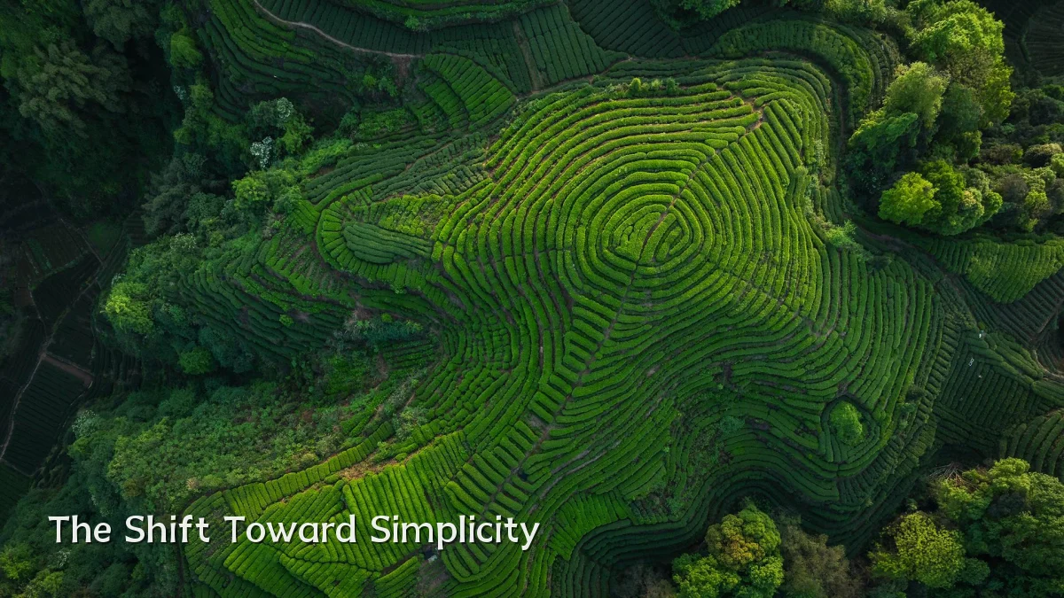 The Shift Toward Simplicity