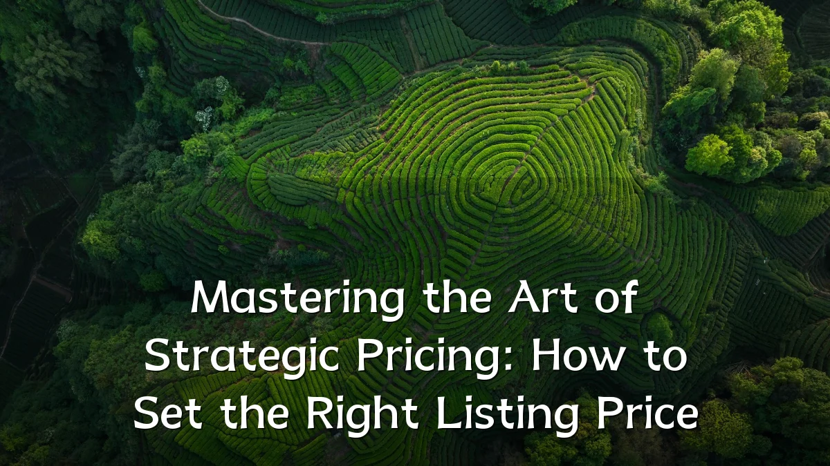 Mastering the Art of Strategic Pricing: How to Set the Right Listing Price