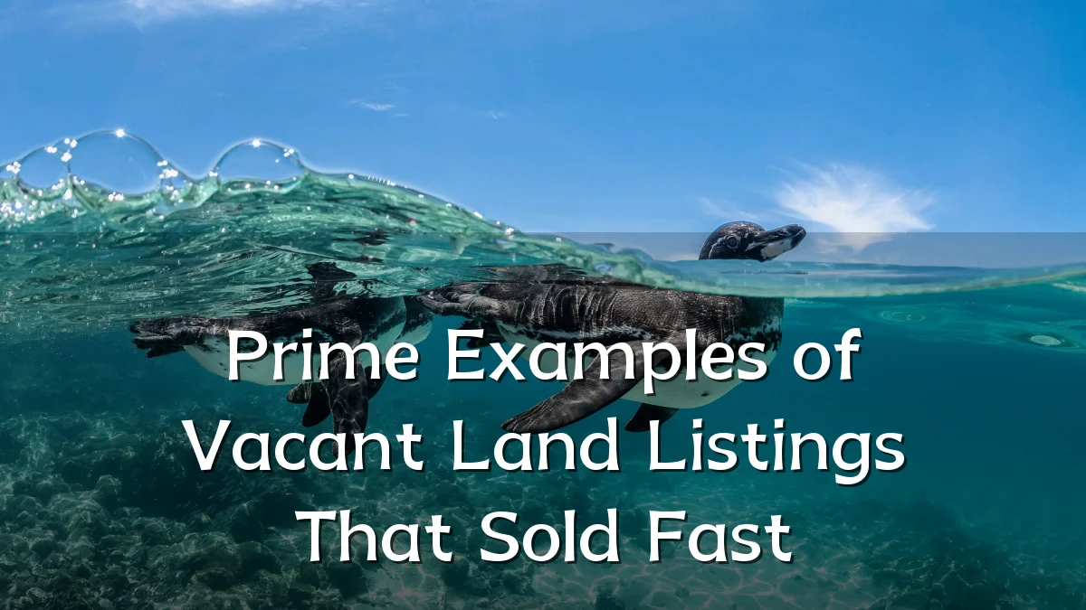Prime Examples of Vacant Land Listings That Sold Fast