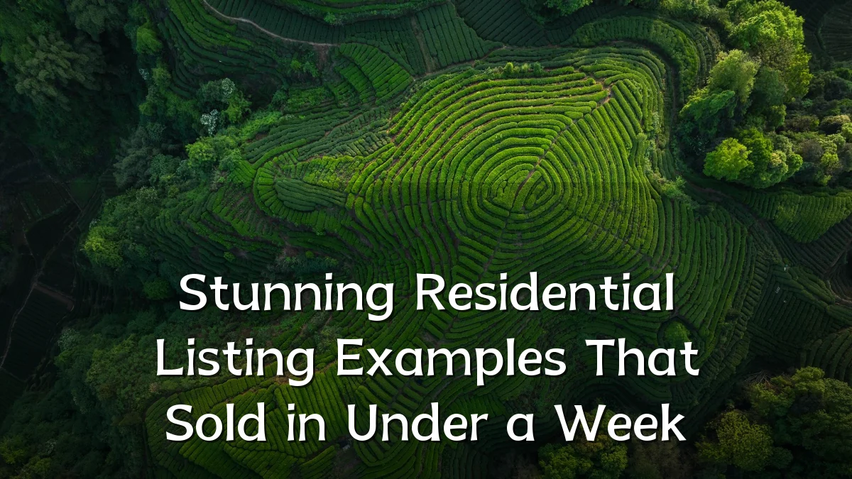 Stunning Residential Listing Examples That Sold in Under a Week