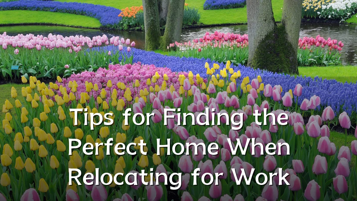 Tips for Finding the Perfect Home When Relocating for Work