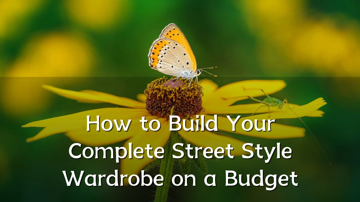 How to Build Your Complete Street Style Wardrobe on a Budget