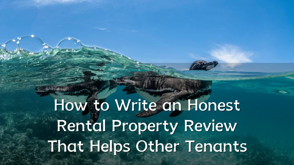How to Write an Honest Rental Property Review That Helps Other Tenants